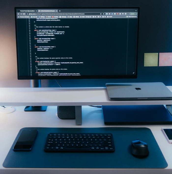 Web Development Team